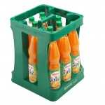 Förstina 0,75 Vital OK (Orange-Karotte) PET