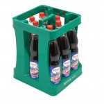 Förstina 0,75 Waldfrucht Schorle PET