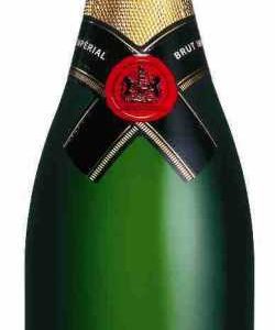 Moet & Chandon Champagner Magnum - 01/1,50