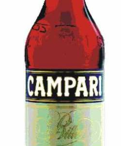 Campari Gastro 25vol%