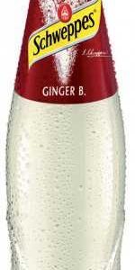Schweppes 0,20 spicy Ginger