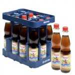 Förstina 0,5 Eistee Pfirsich PET (Neu)