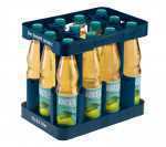 Vilsa 0,50 PET Apfel-Schorle - 12/0,50 PET Mehrweg