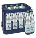 Auburg Quelle 1,00 Medium (Urquelle) PET - 12/1,00