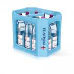 Bad Pyrmonter 1,00 naturell PET Mehrweg