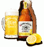 GREVENSTEINER RADLER **